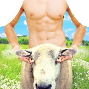 Fartuch nr 03 (sheep)..