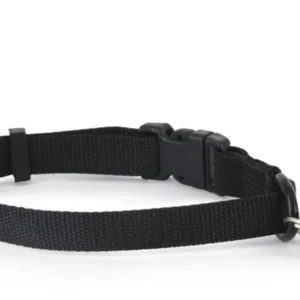 "Altranet PetSafe" magnetinis raktas su pakabuku antkakliui 480, juodas, 5007