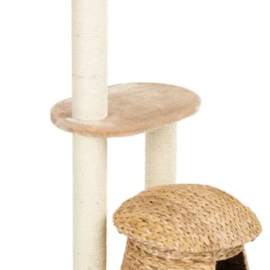 Zooplus Exclusive Banana Leaf Bali cat scratching post - Beige | 48h sale | -5% nuo pirmo užsakymo| Pristatymas ir grąžinimas NEMOKAMAS!